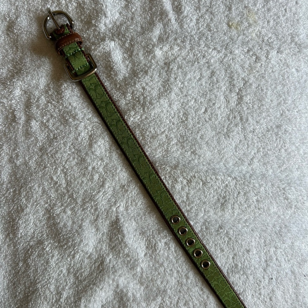 Genuine Coach Stylish Green and Brown Dog Collar - Picture 2 of 4
